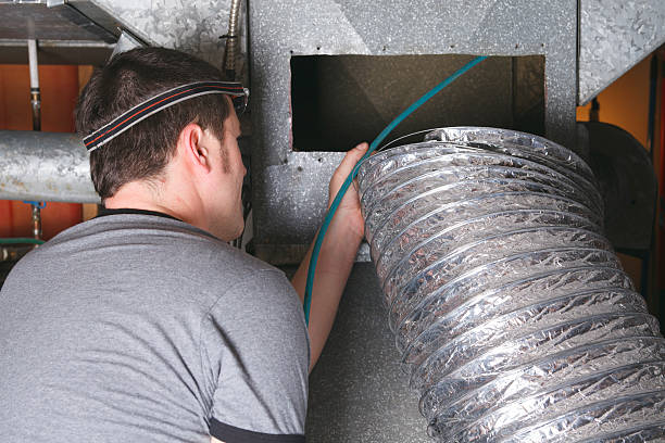 Best Dryer Vent Cleaning Services  in Ely, NV