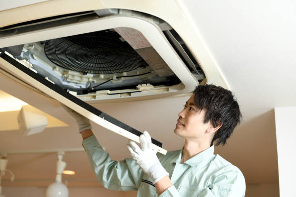 Best Local Air Duct Cleaning Services  in Ely, NV