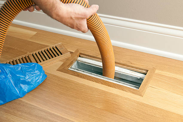 Best HVAC Duct Inspection Services  in Ely, NV