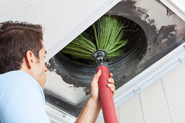 Best Air Duct Cleaning Near Me  in Ely, NV