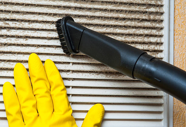 Best Best Air Duct Cleaning Company  in Ely, NV