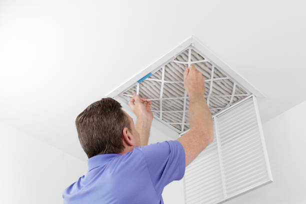 Best Professional Duct Cleaning Services  in Ely, NV